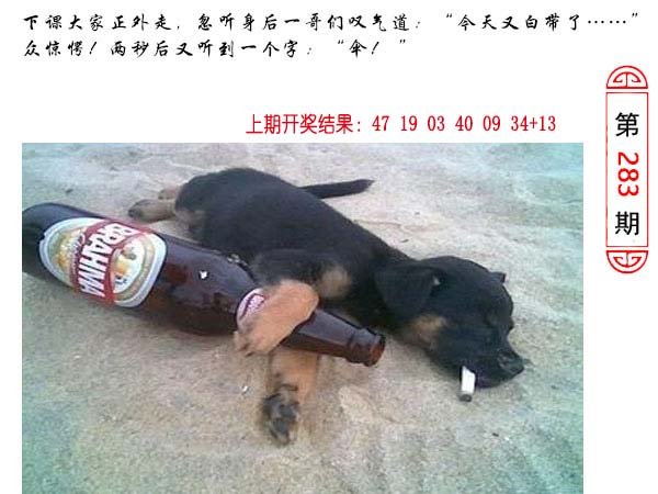 2024283期澳门生活幽默