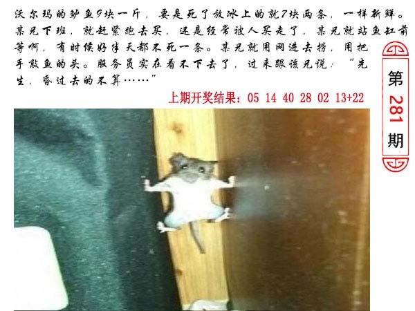 2024281期澳门生活幽默