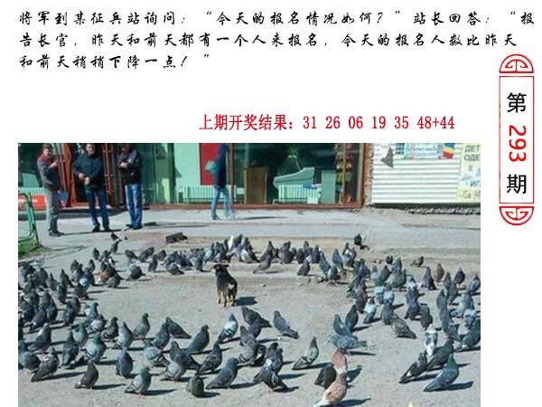 2024293期澳门生活幽默