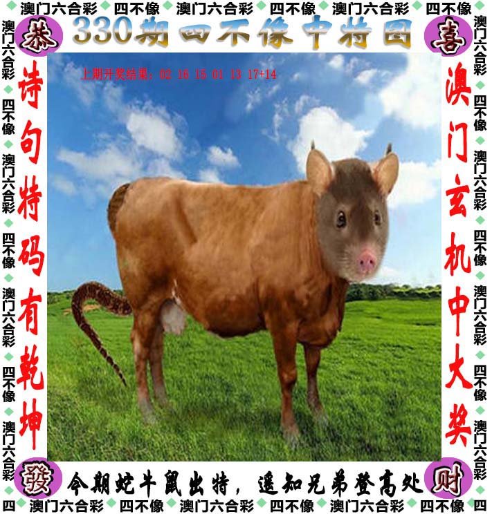 2024330期四不像