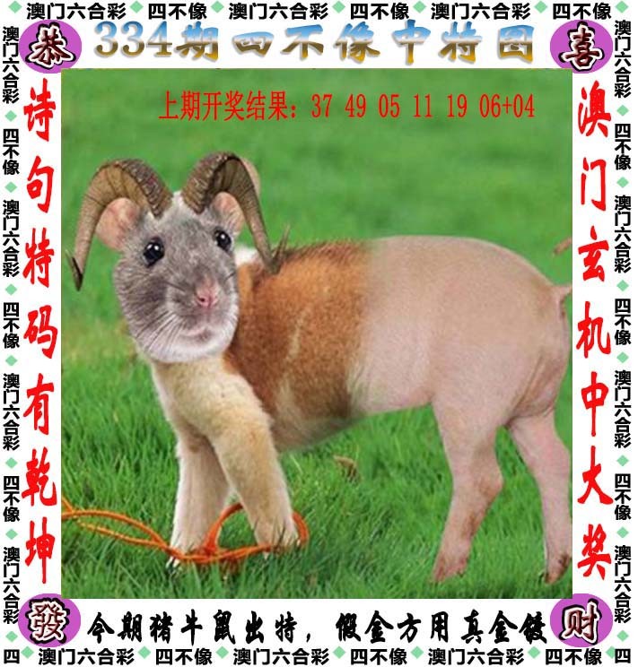 2024334期四不像
