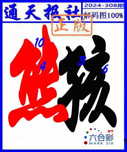 2024308期解码图