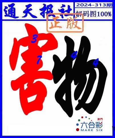 2024313期解码图