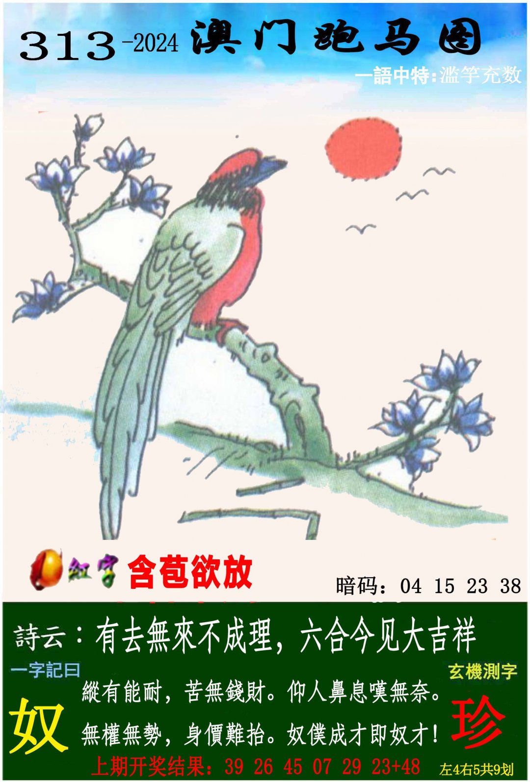 2024313期跑马图