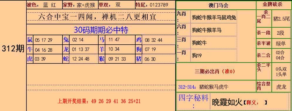 2024312期30码中特