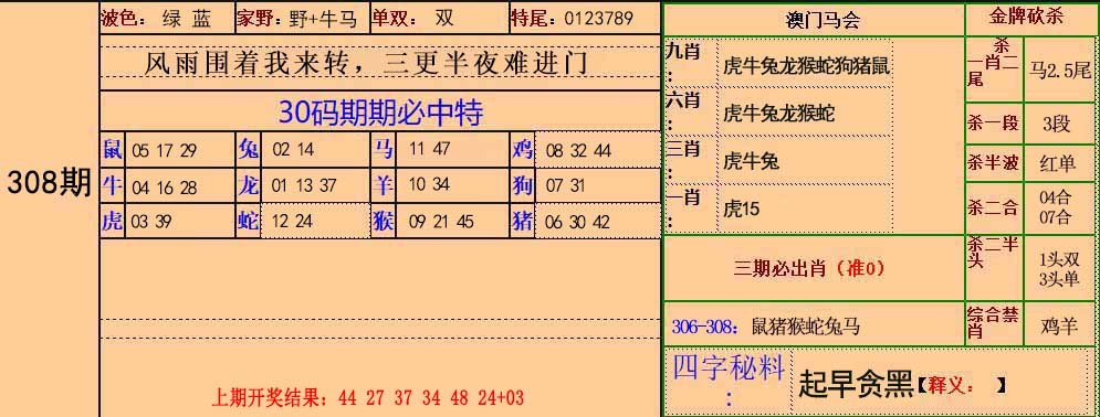 2024308期30码中特