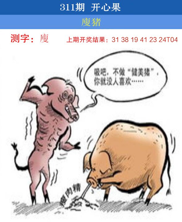 2024311期开心果