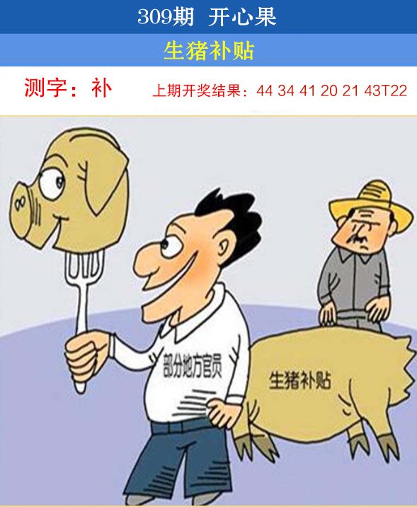 2024309期开心果