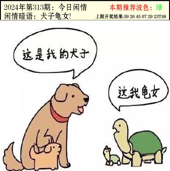 2024313期今日闲情2