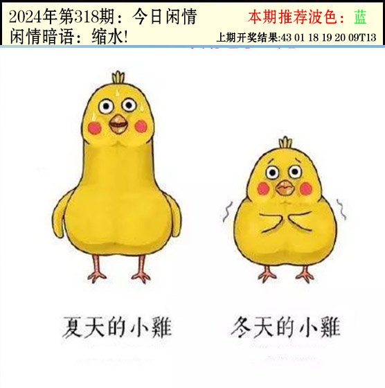 2024318期今日闲情2