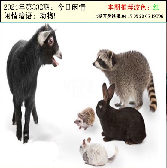 2024332期今日闲情2