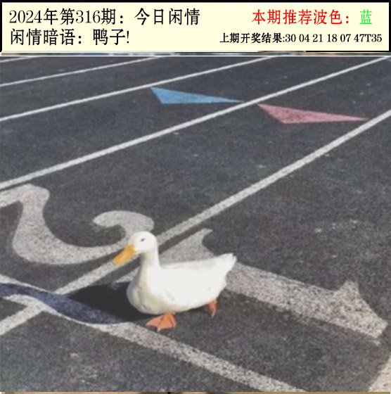 2024316期今日闲情2