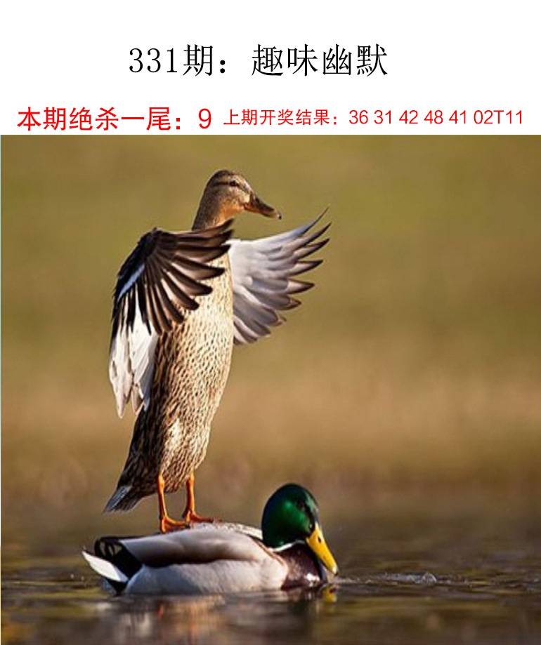 2024331期趣味幽默