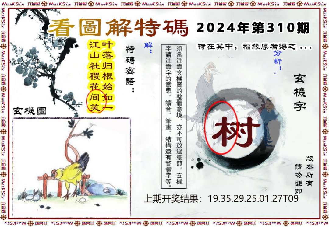 2024310期看图解特码