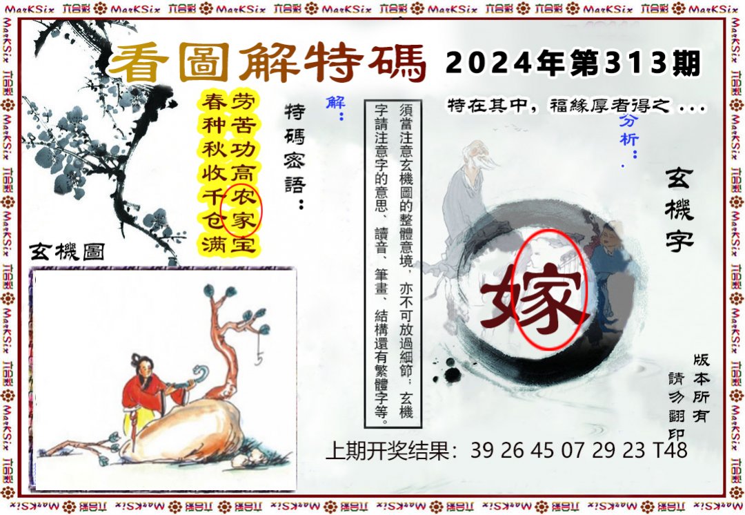 2024313期看图解特码