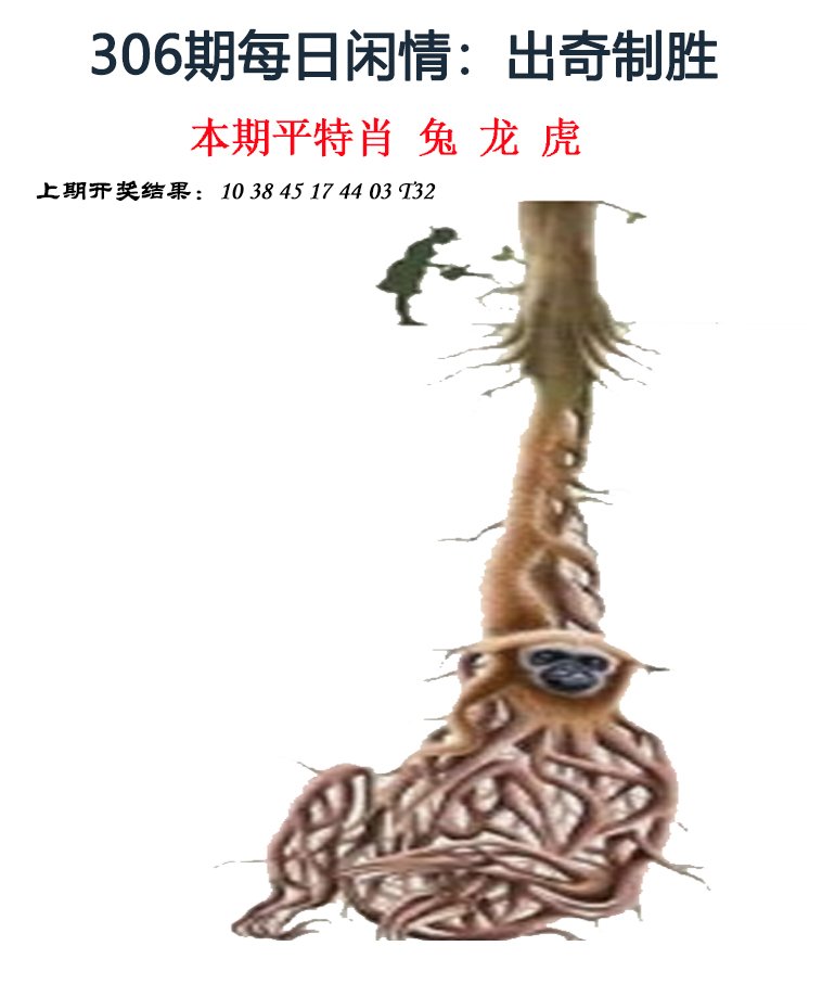 2024306期每日闲情