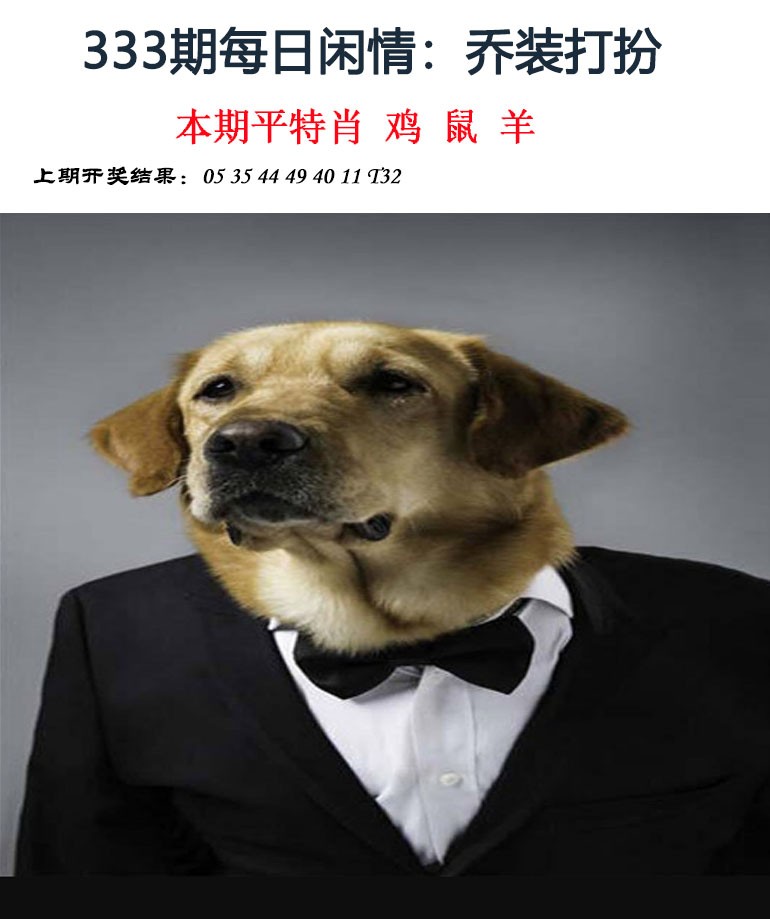 2024333期每日闲情