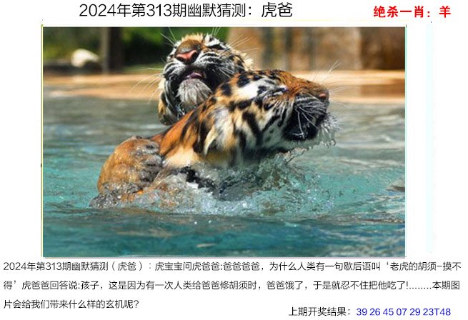 2024313期幽默猜测