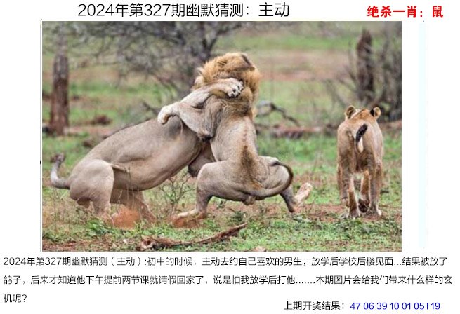 2024327期幽默猜测