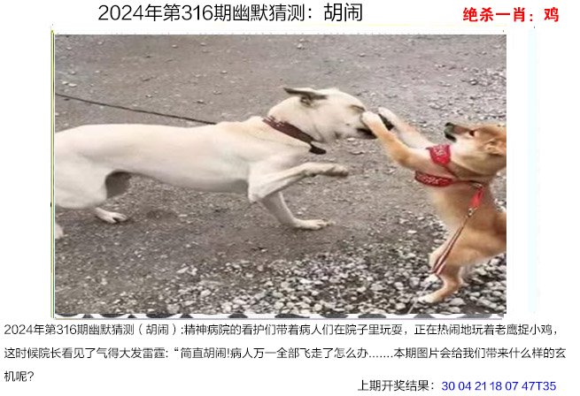 2024316期幽默猜测
