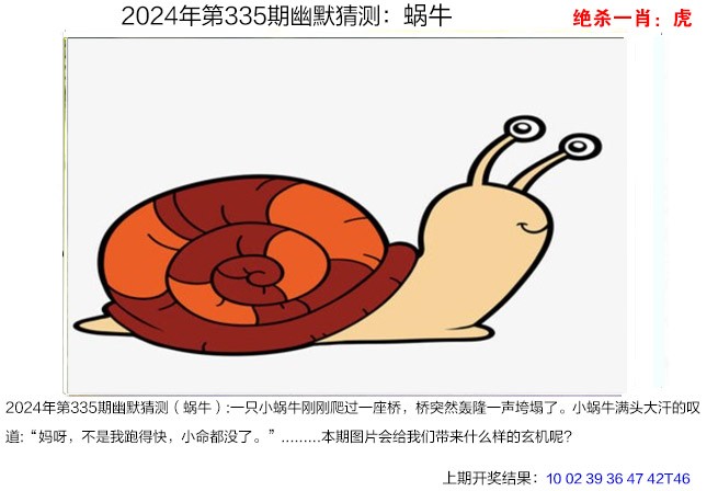 2024335期幽默猜测