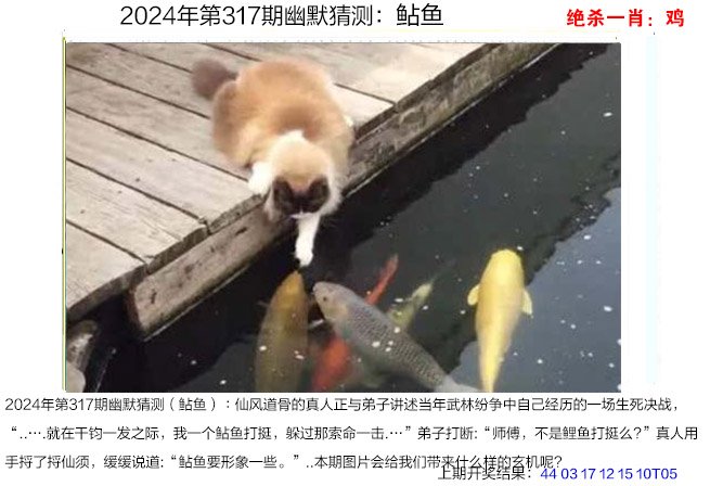 2024317期幽默猜测
