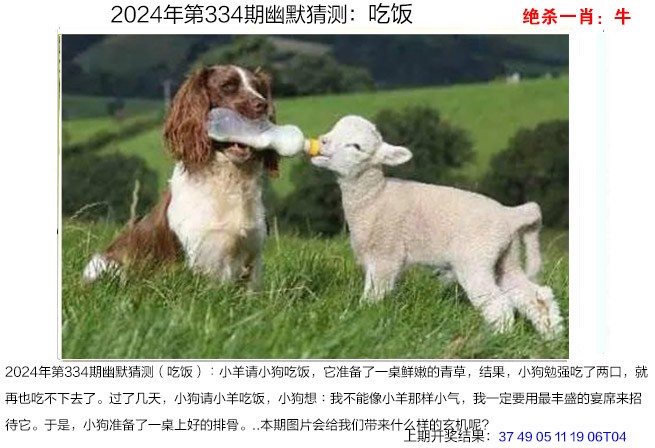 2024334期幽默猜测