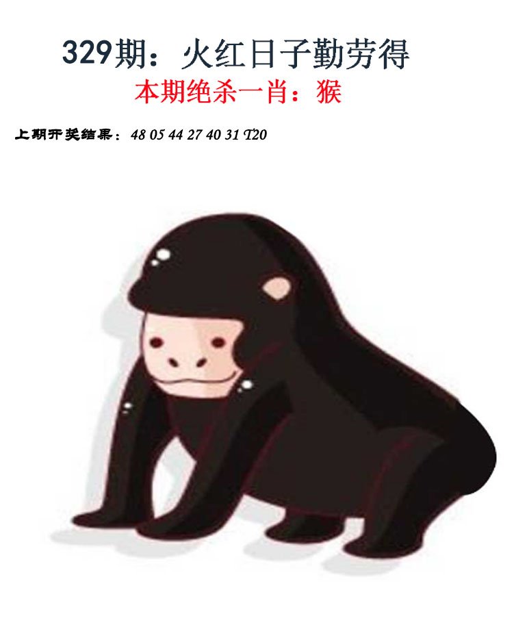 2024329期金钱豹自有真功夫