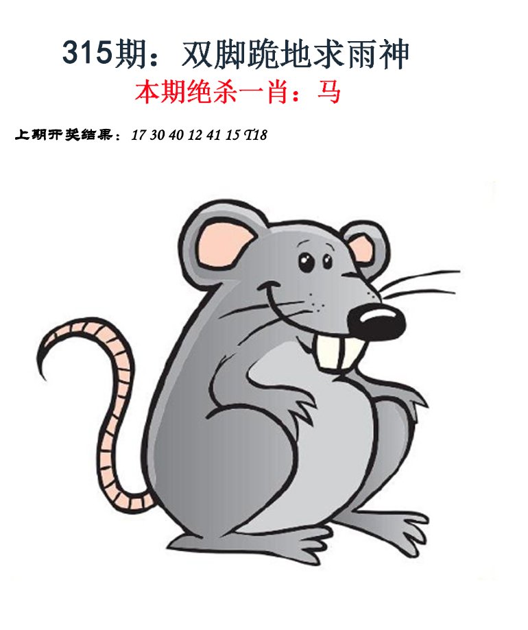 2024315期金钱豹自有真功夫