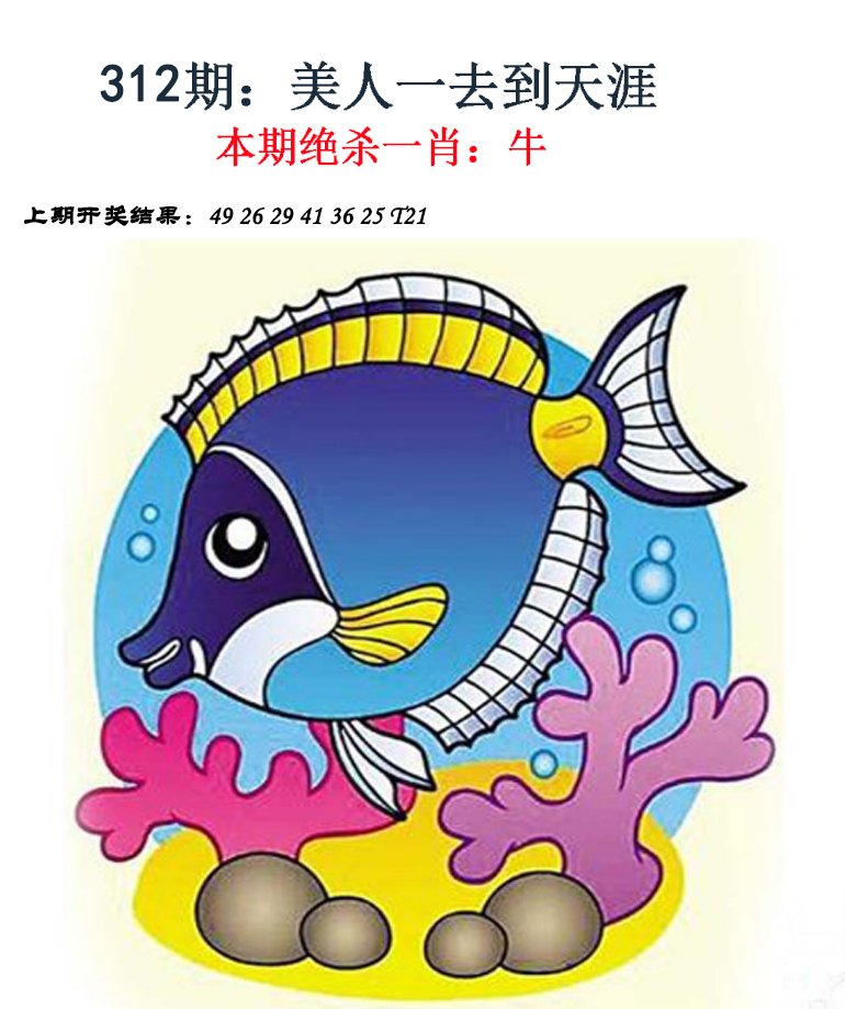 2024312期金钱豹自有真功夫