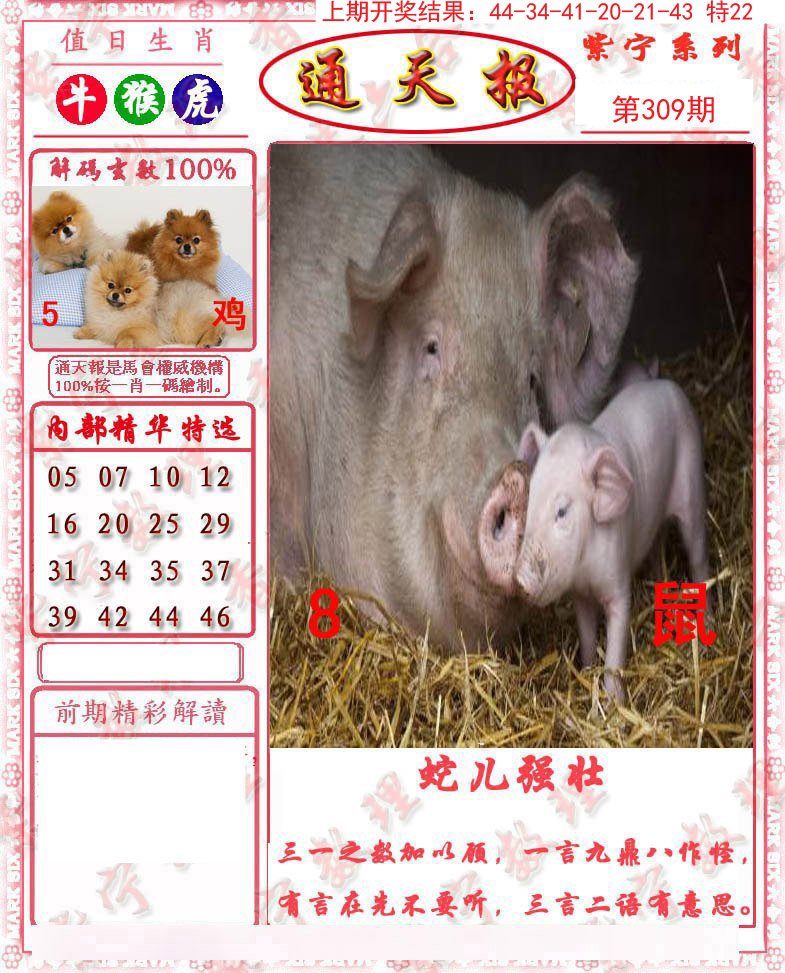 2024309期救通报