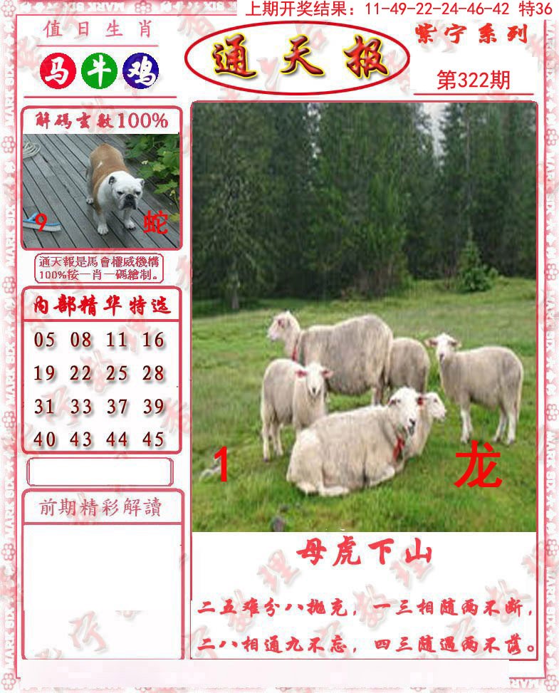 2024322期救通报