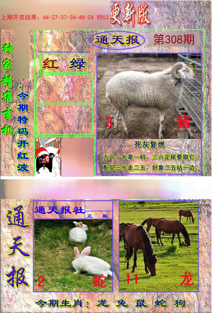 2024308期新通报