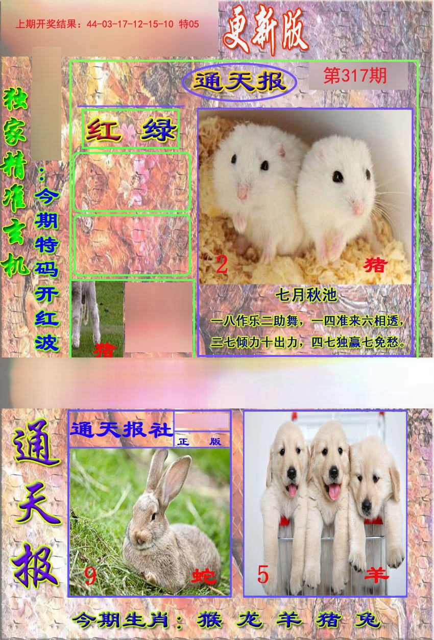 2024317期新通报