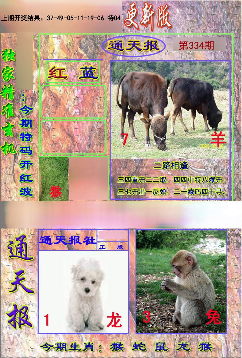 2024334期新通报