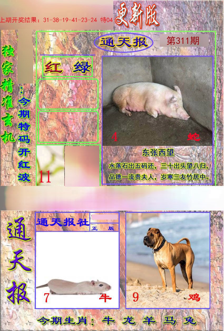 2024311期新通报