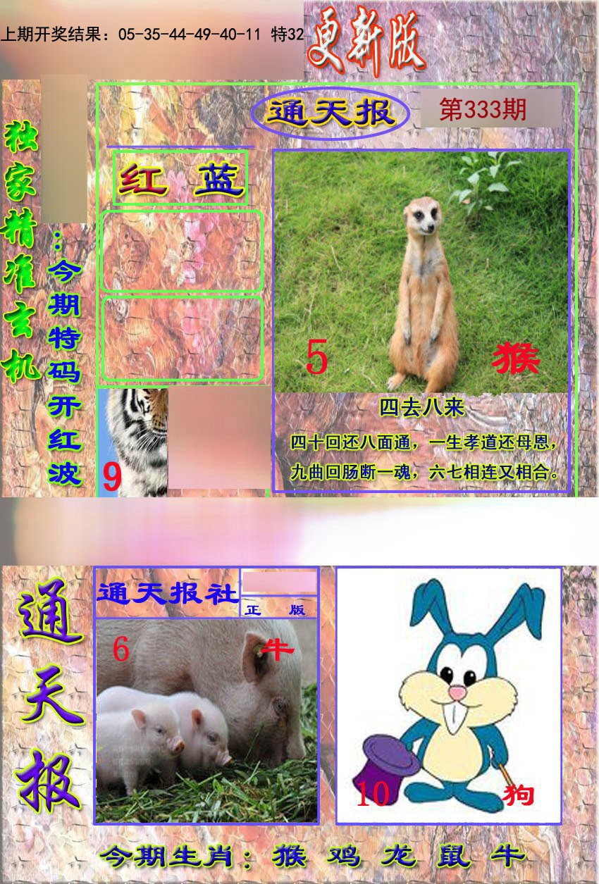 2024333期新通报