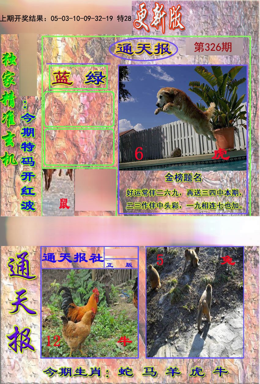 2024326期新通报