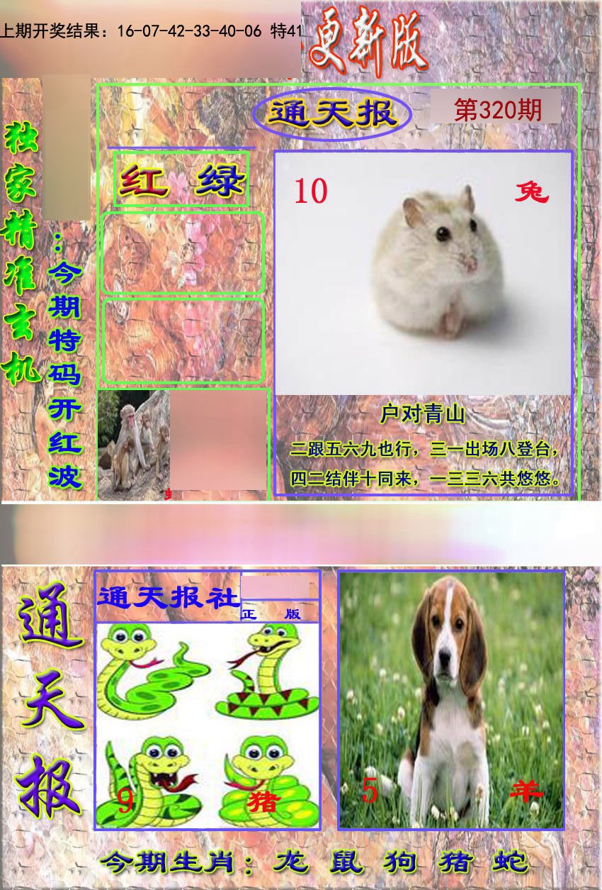 2024320期新通报
