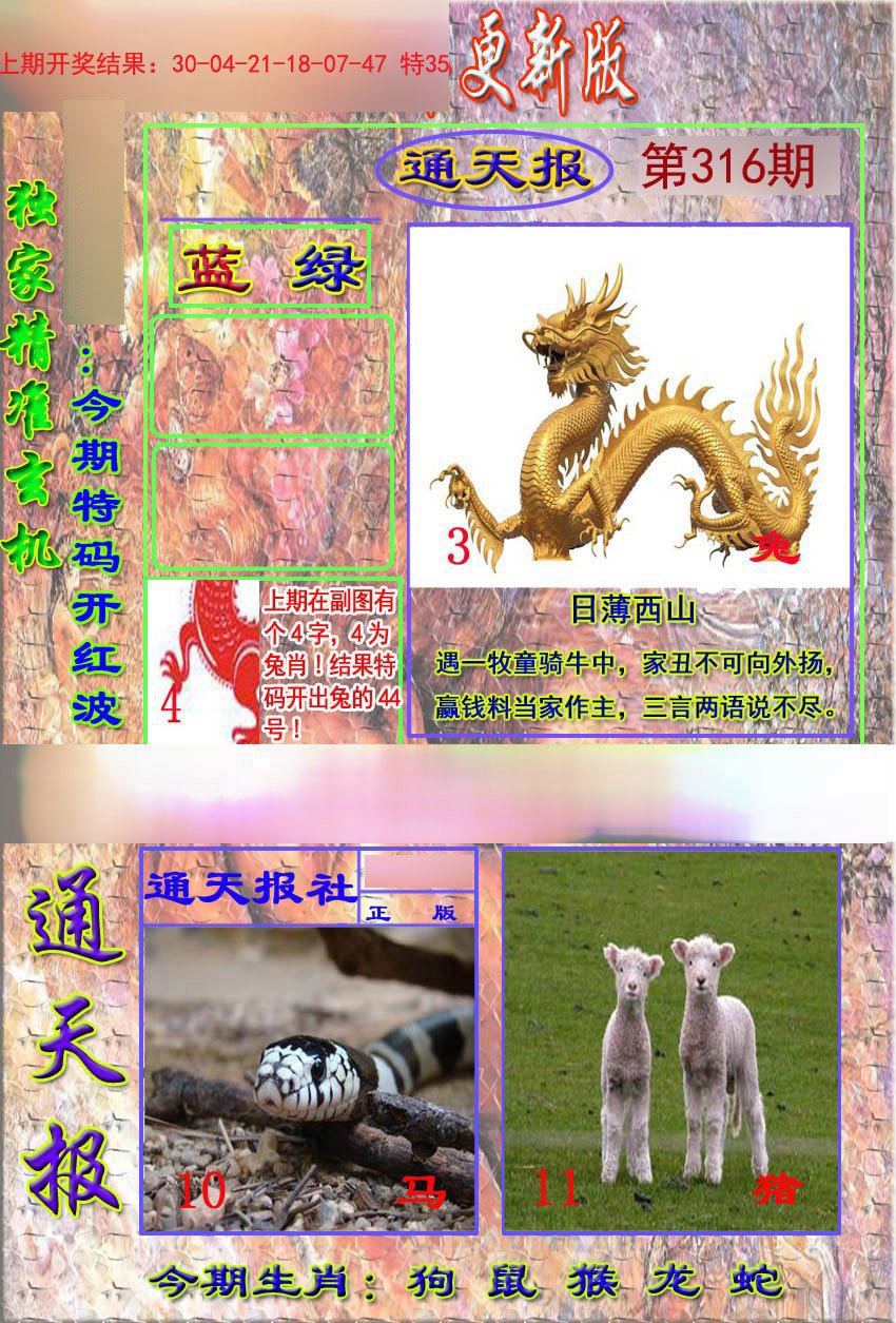 2024316期新通报