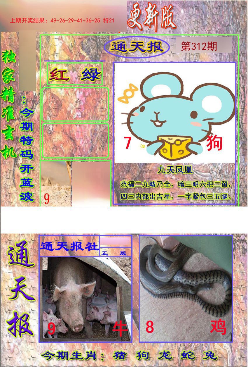 2024312期新通报
