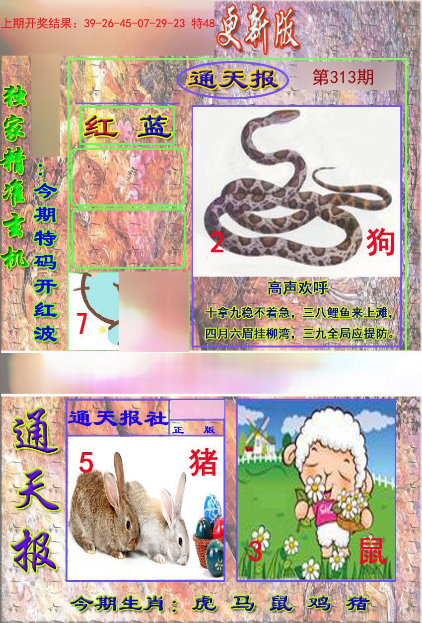 2024313期新通报