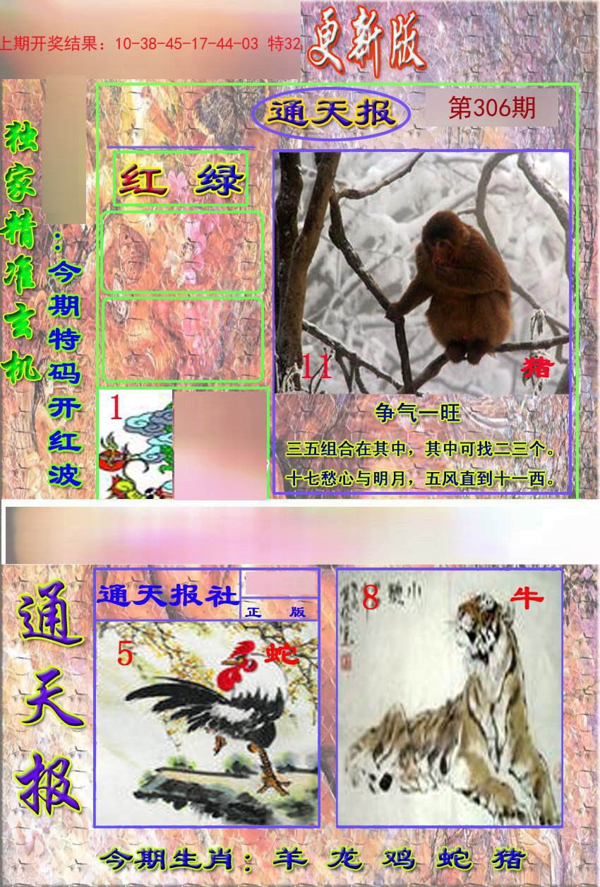 2024306期新通报