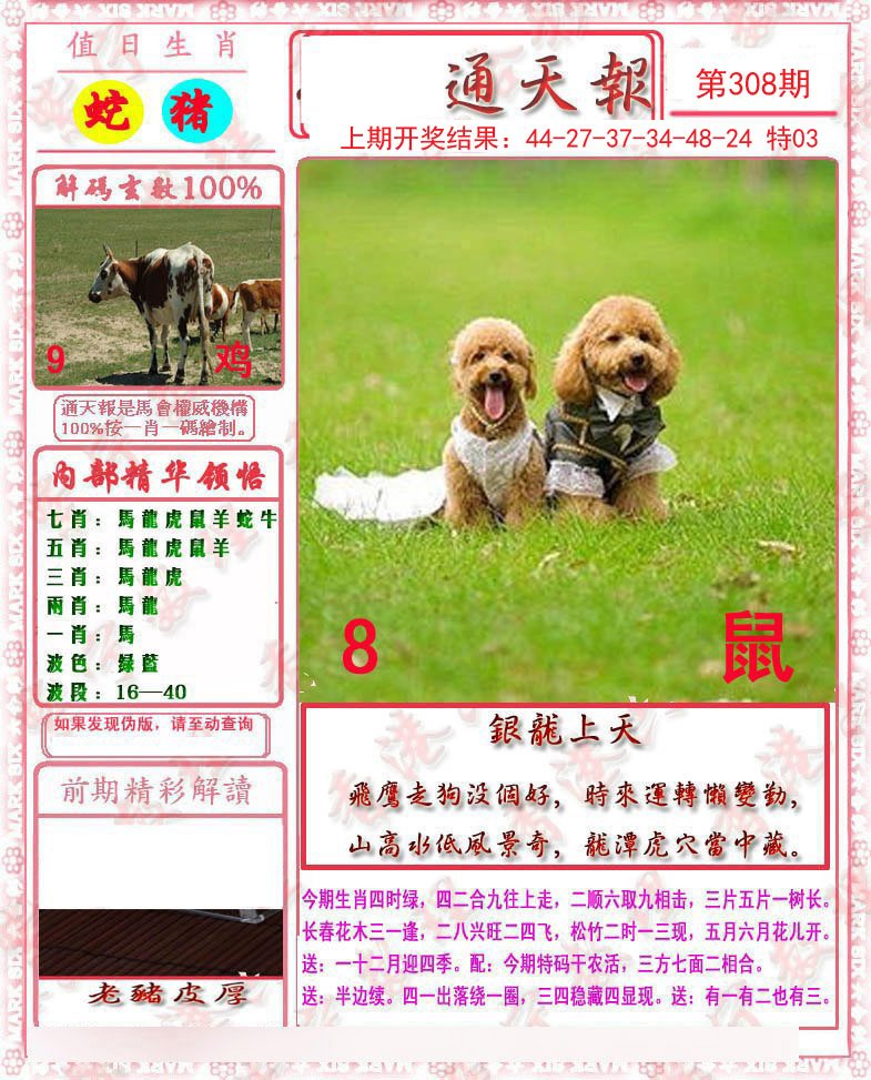 2024308期马经通天报