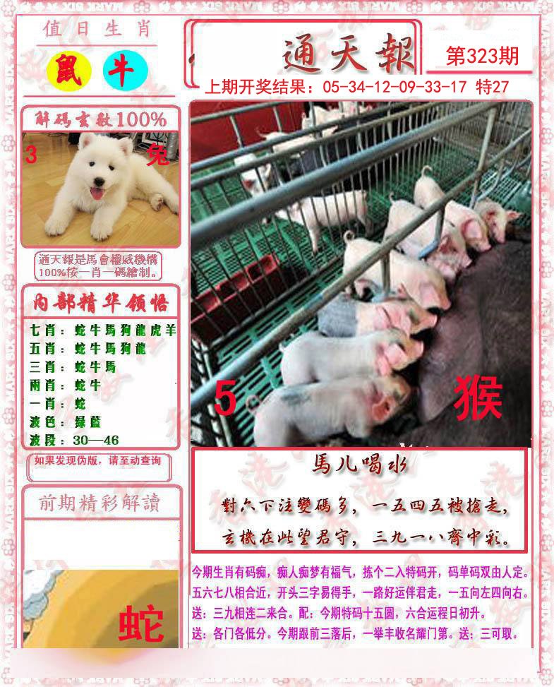 2024323期马经通天报