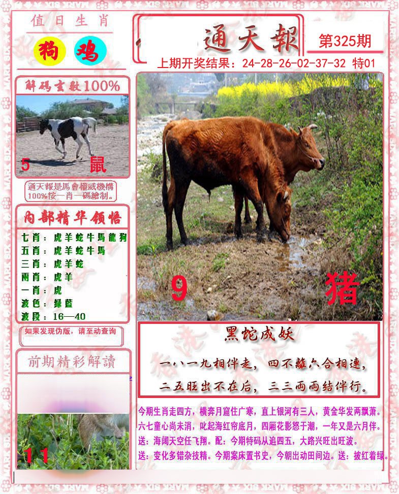 2024325期马经通天报