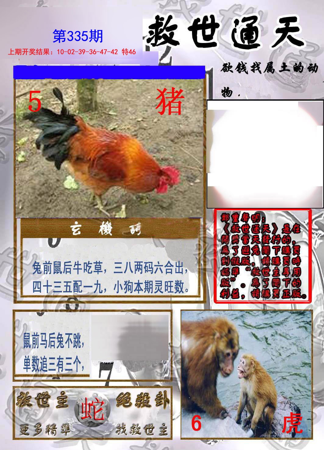 2024335期救世通天报
