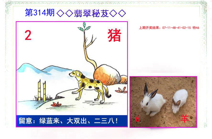 2024314期翡翠报