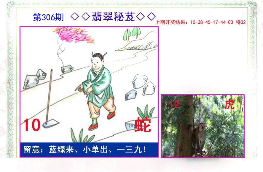 2024306期翡翠报