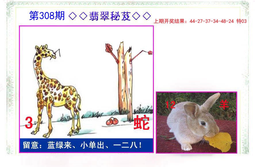 2024308期翡翠报